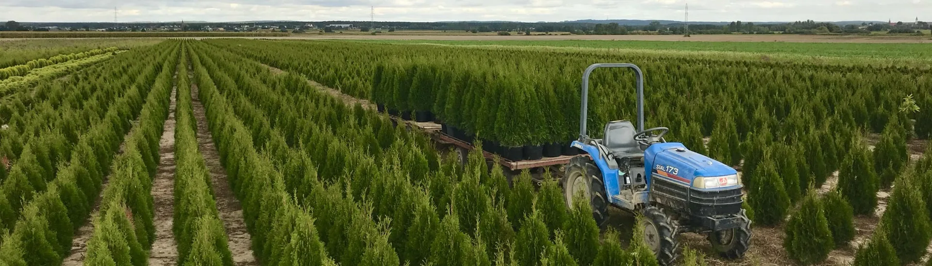 Pohled z jeslí Marcinków 1