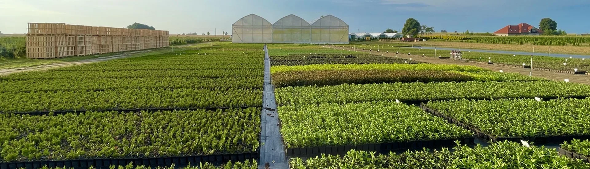 Pohled z jeslí Marcinków 2