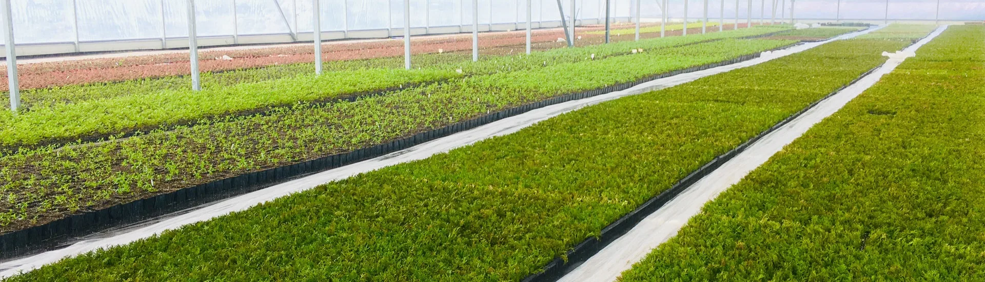 Pohled z jeslí Marcinków 3