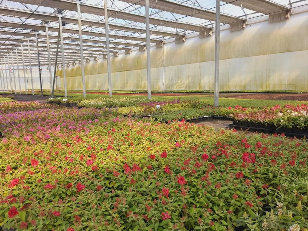 Pohled z školky Marcinków 1