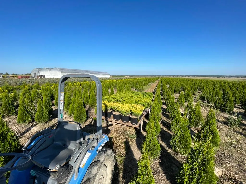 Pohled z školky Marcinków 2