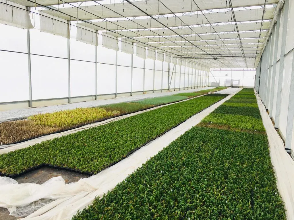 Pohled z školky Marcinków 4