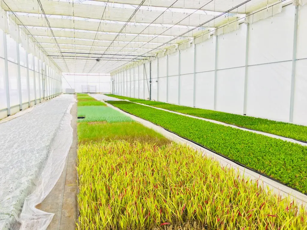 Pohled z školky Marcinków 5