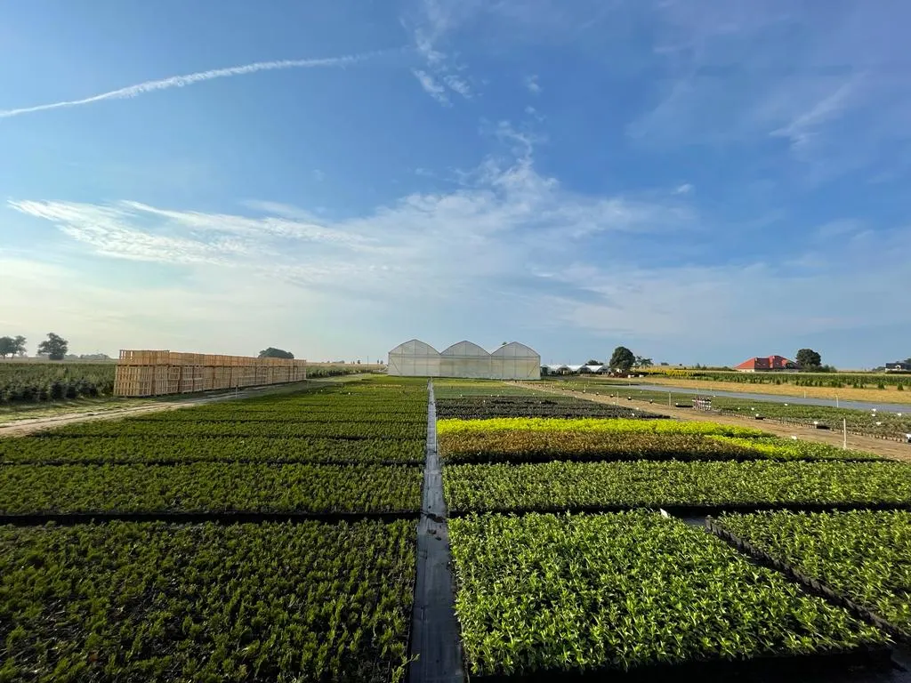 Pohled z jeslí Marcinków 6