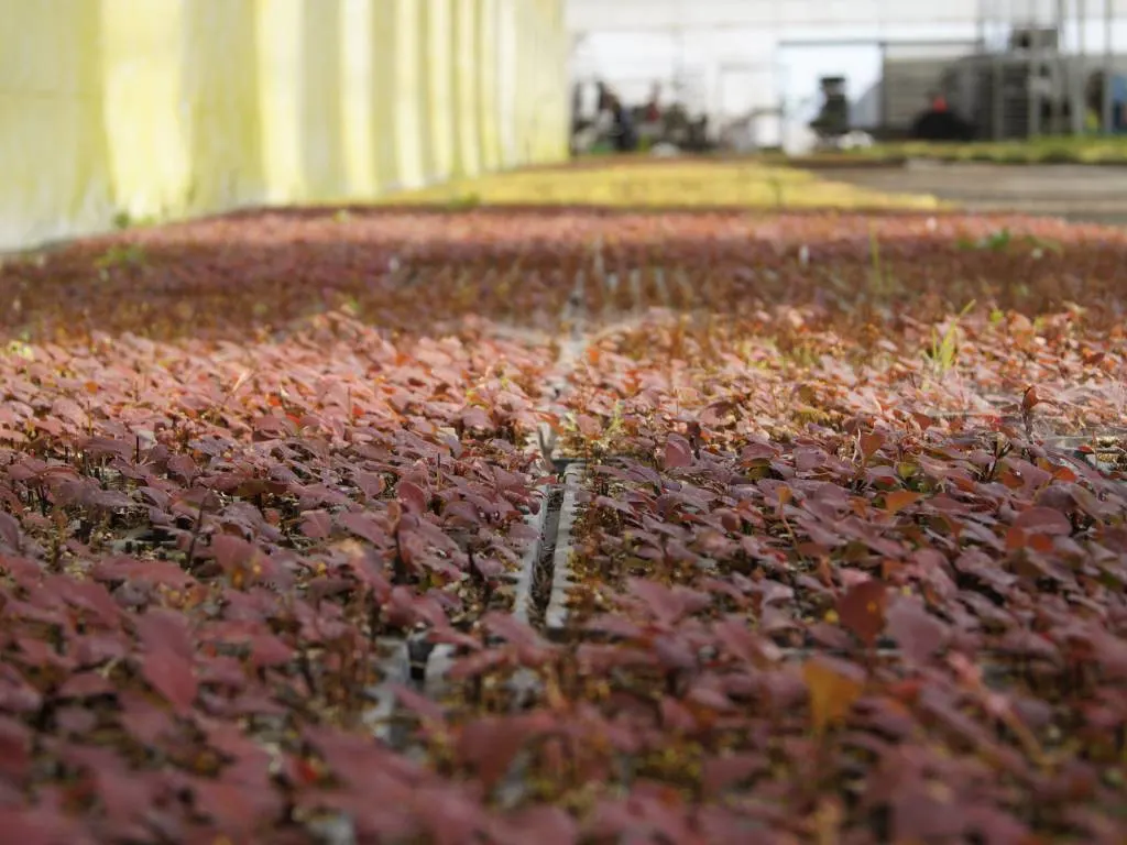 Pohled z jeslí Marcinków 7