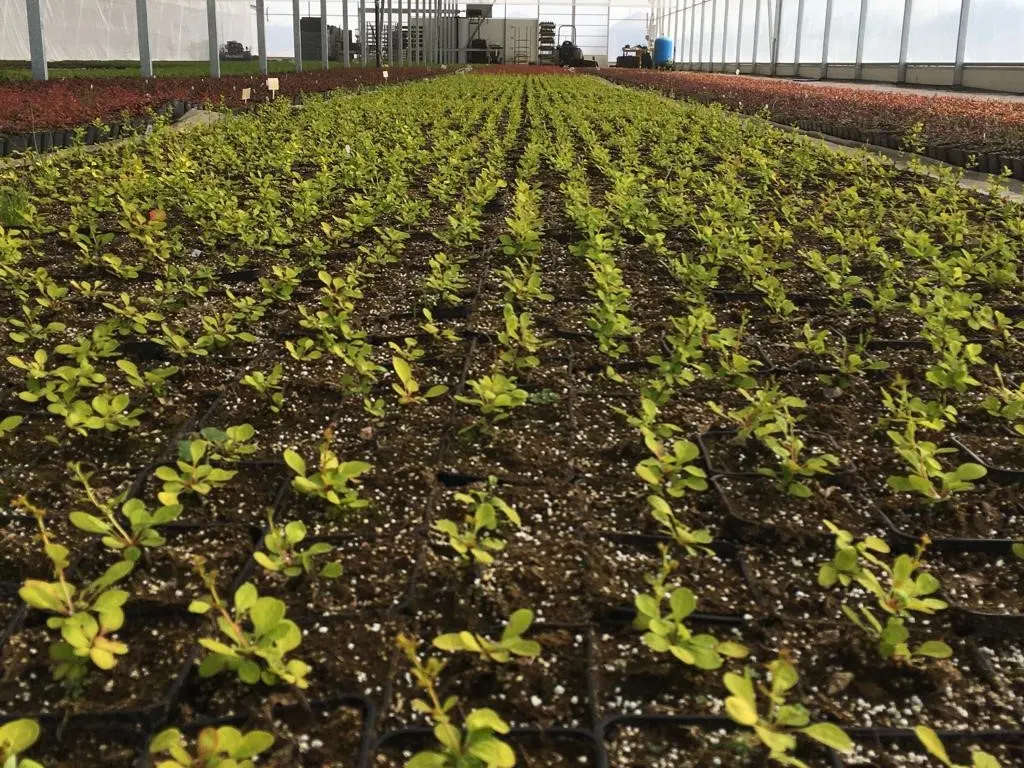 Pohled z jeslí Marcinków 8