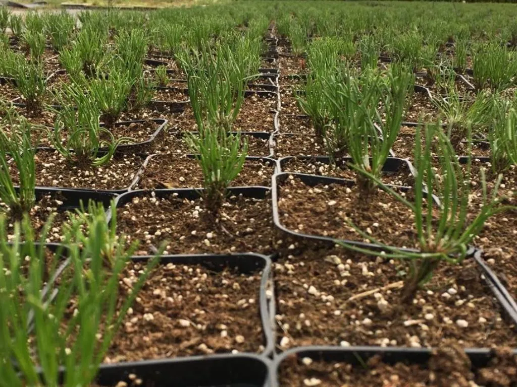 Pohled z školky Marcinków 9