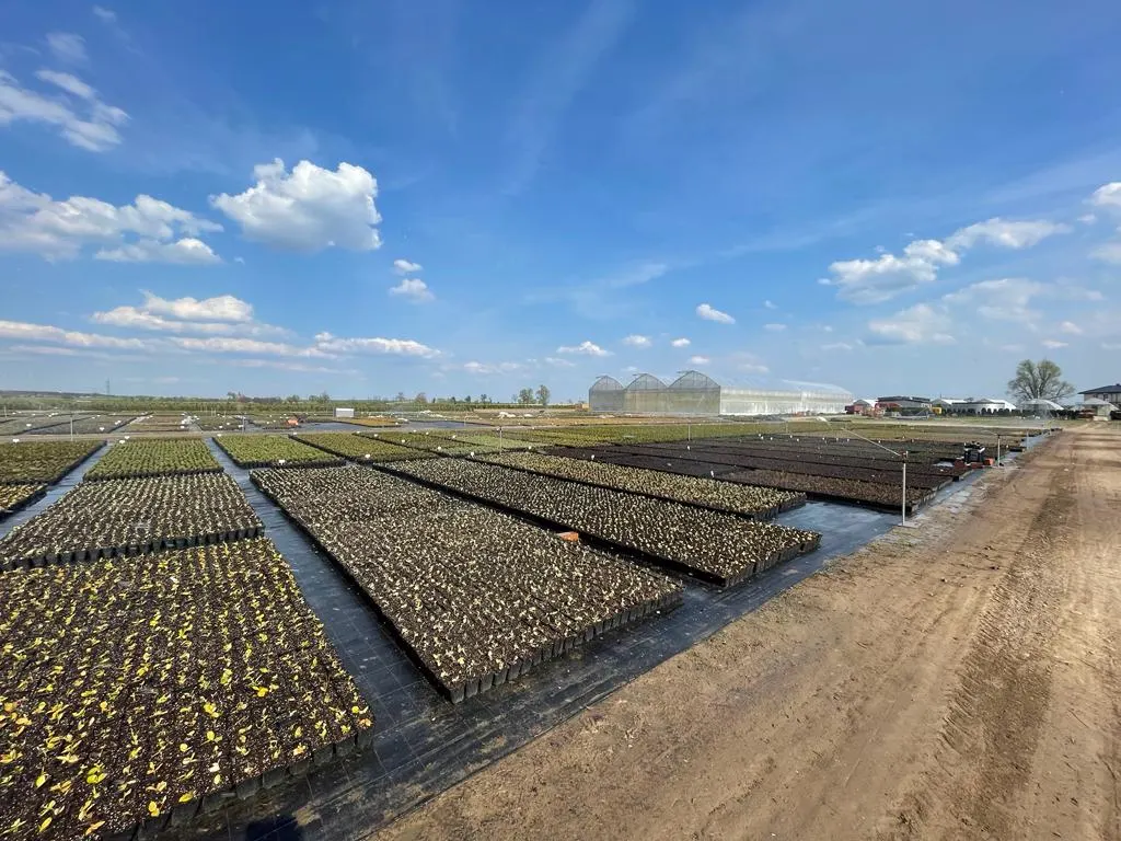 Pohled z jeslí Marcinków 11